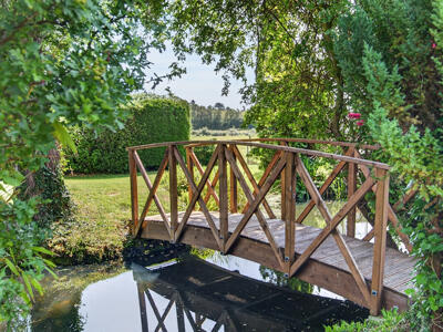 Picture 21